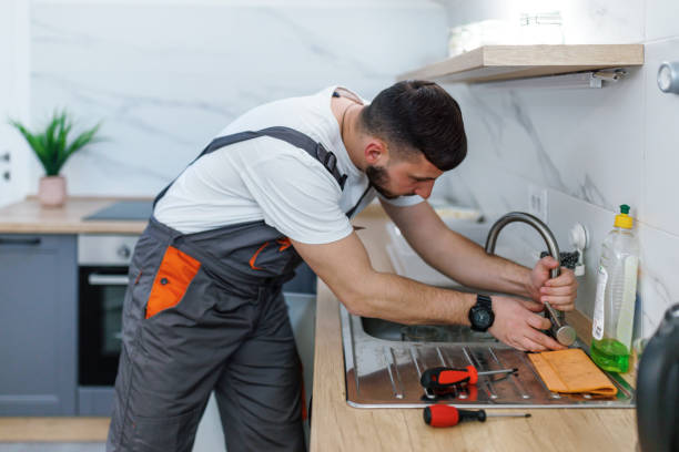 Best Commercial Plumbing Services  in Knoxvle, IL