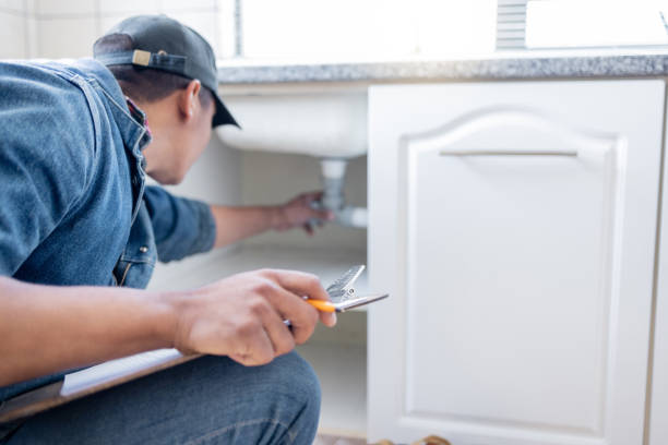 Best Affordable Plumbing Services  in Knoxvle, IL